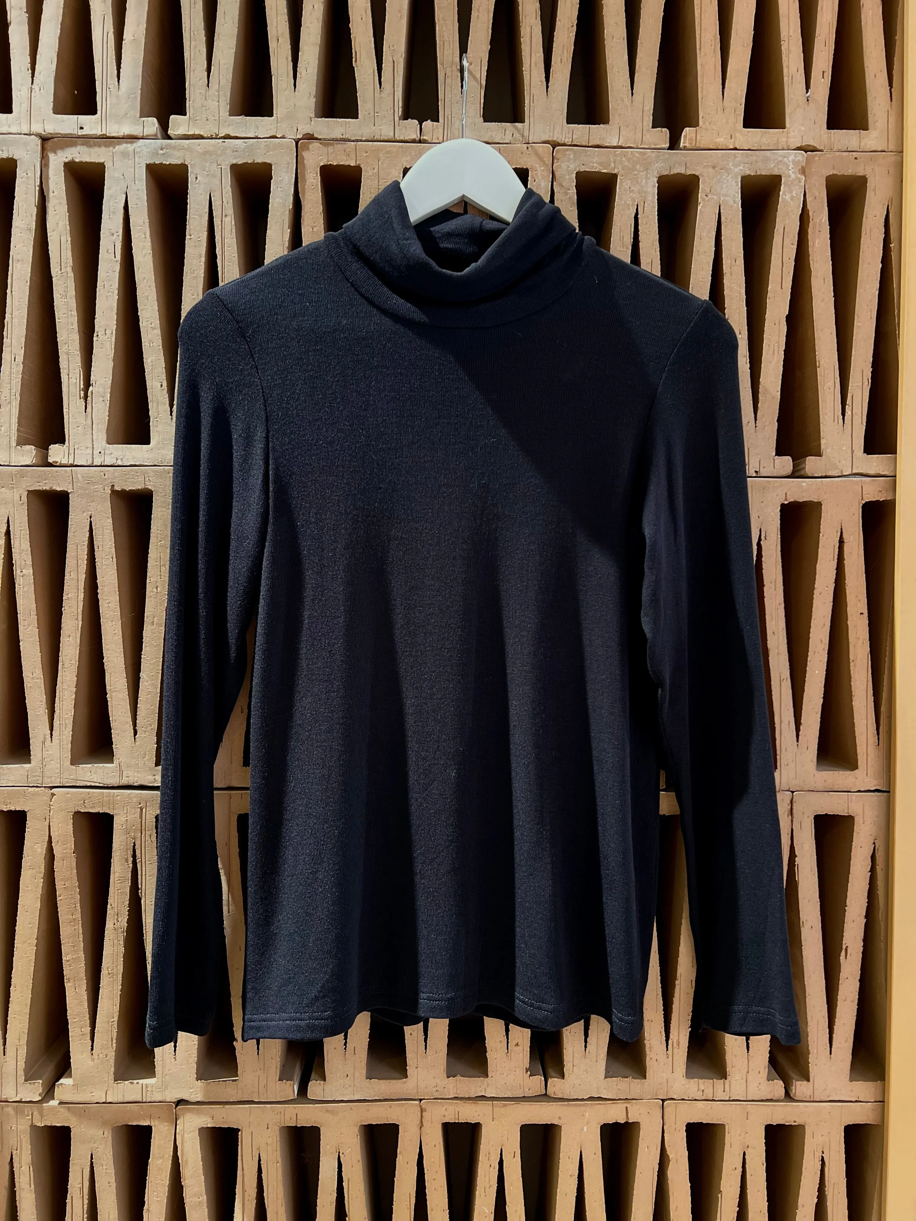 BASIC FINE KNIT TURTLENECK