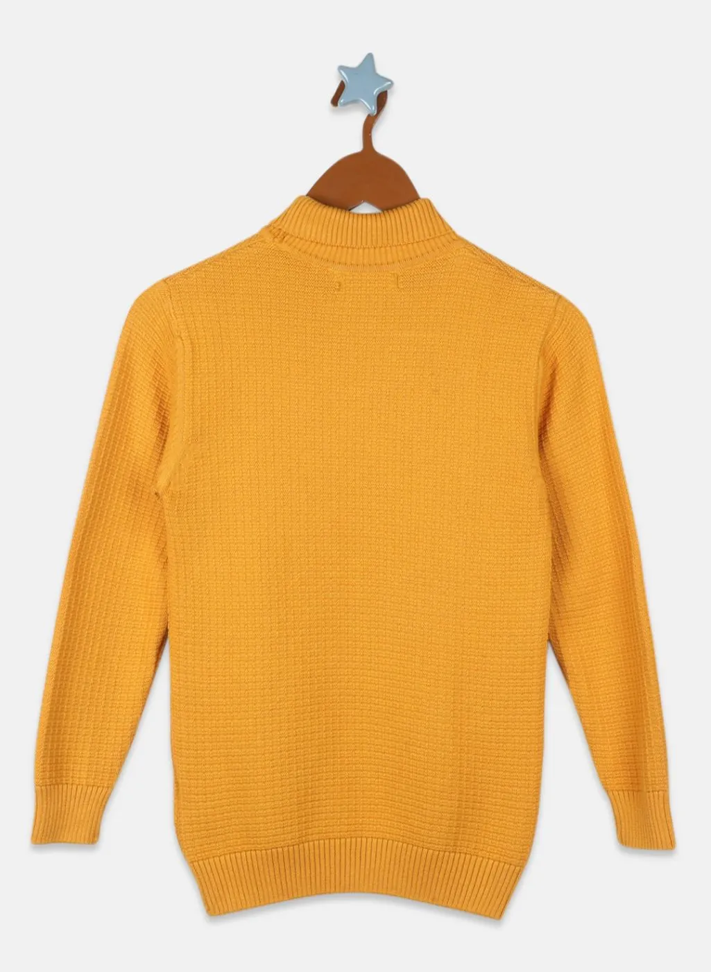 Boys Mustard Printed Pullover