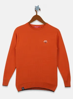 Boys Orange Solid Pullover