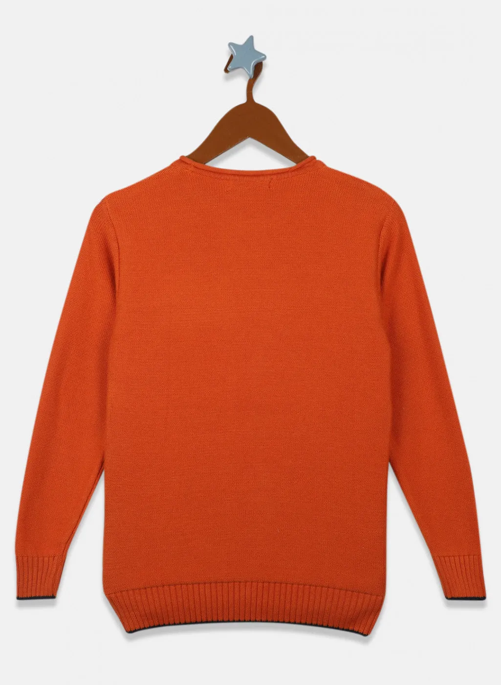 Boys Orange Solid Pullover