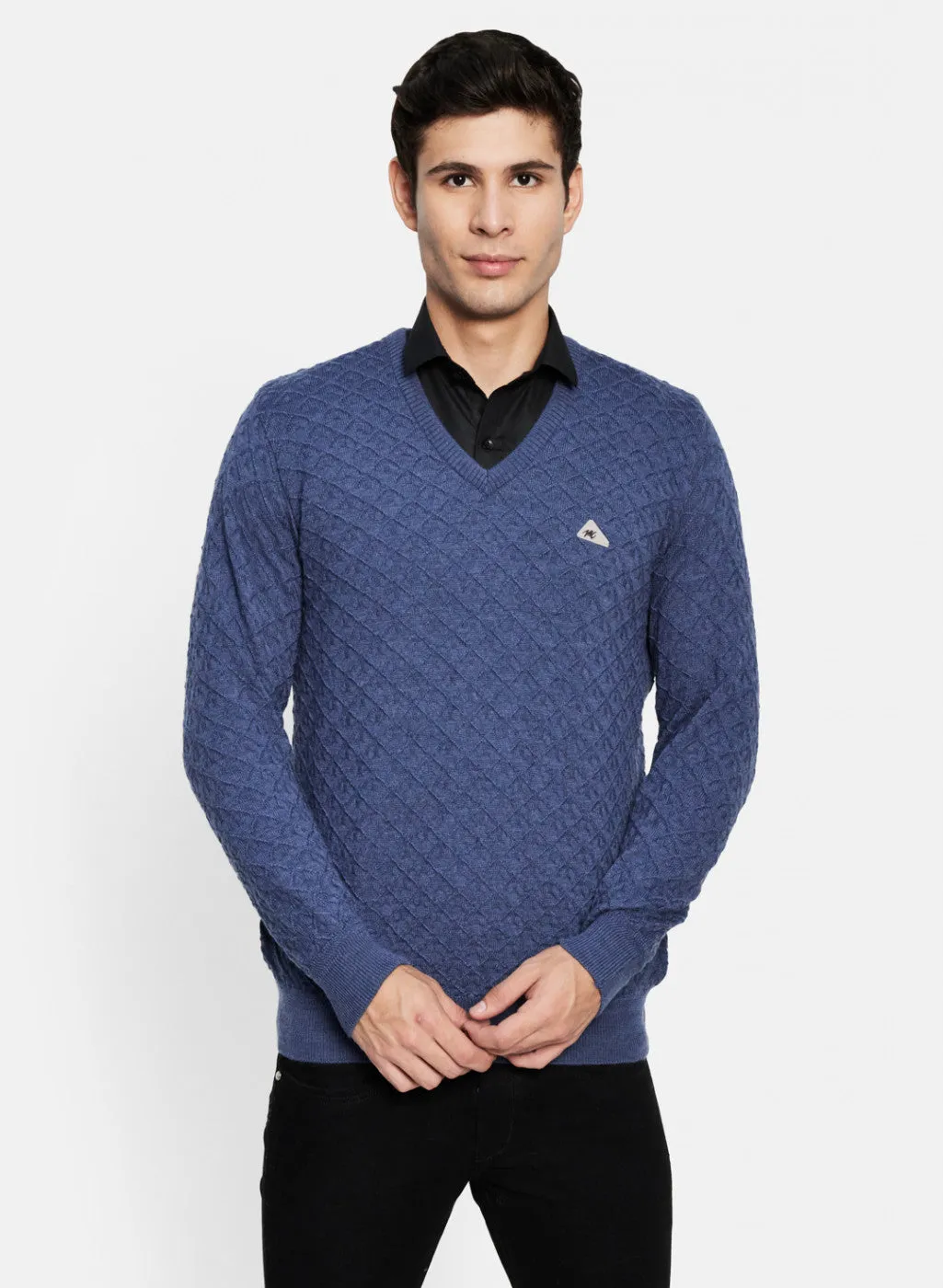 Men Blue Self Design Pullover