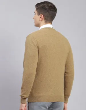 Men Brown Solid V Neck Full Sleeve Sweater