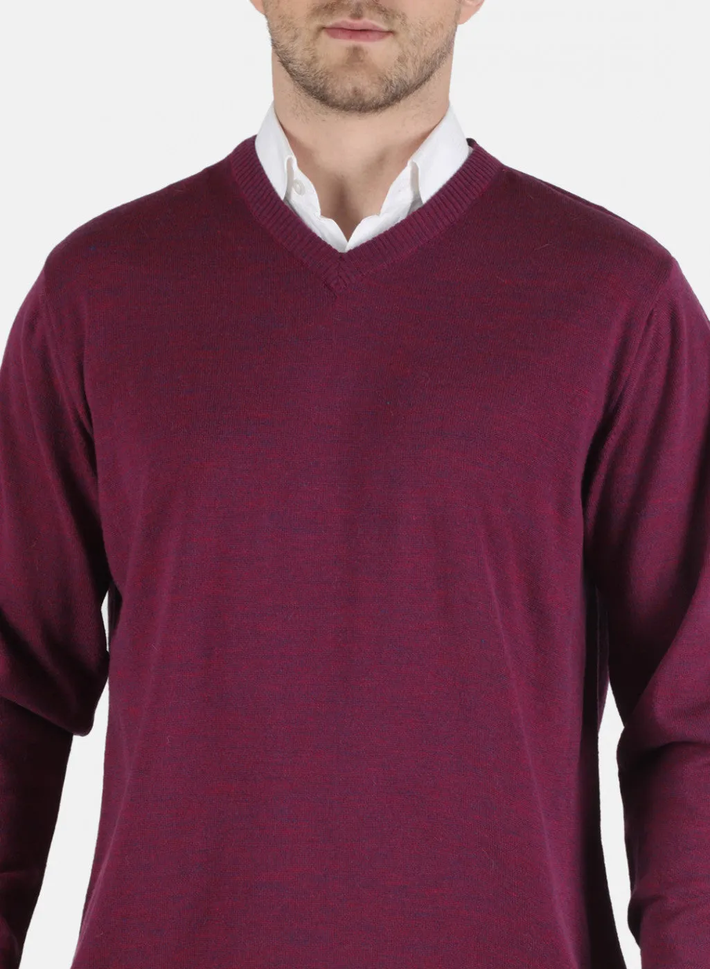 Men Mehroon Solid Pullover