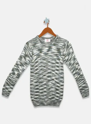 Oswal Multi Color Boys Pullover