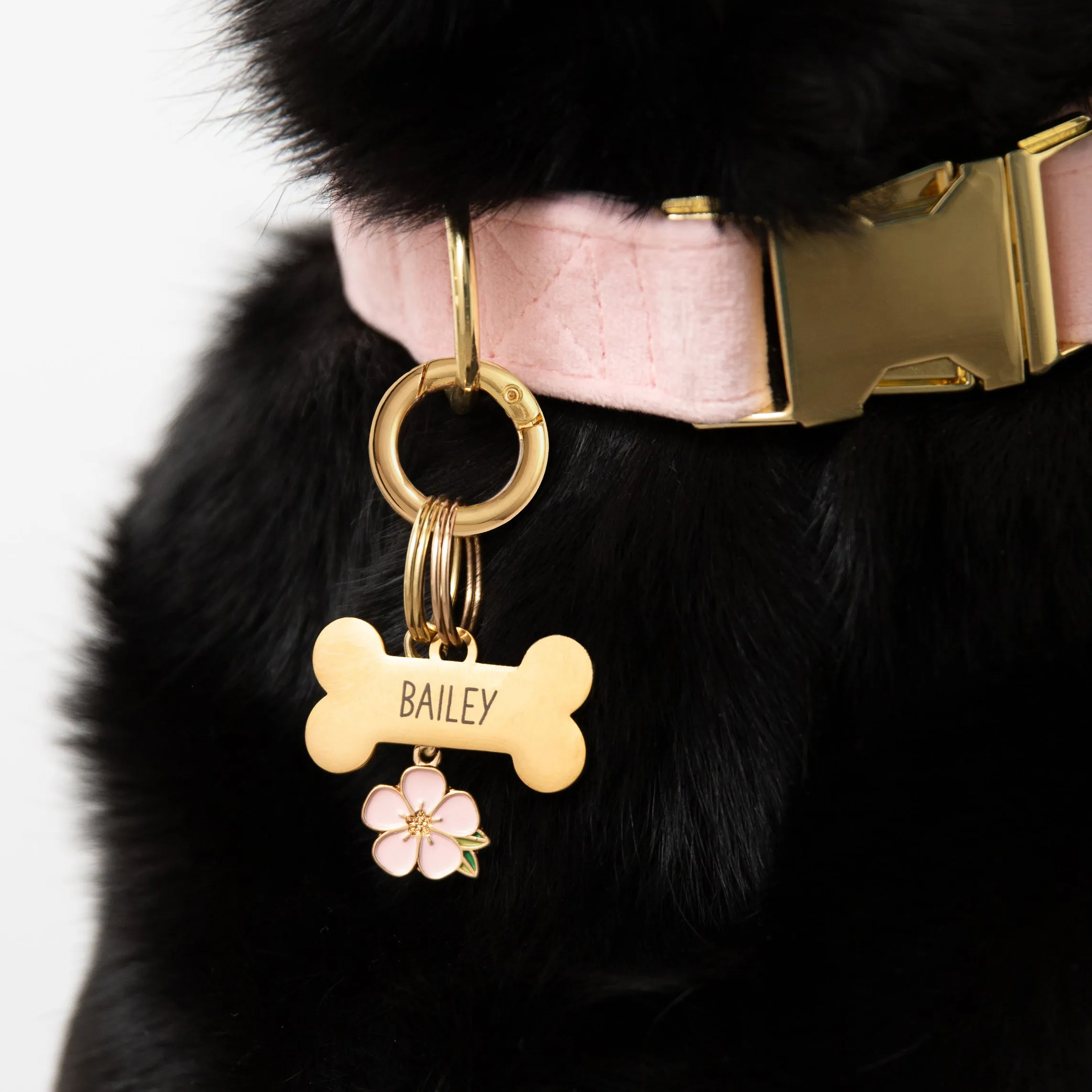 Sakura Blossom Collar Charm