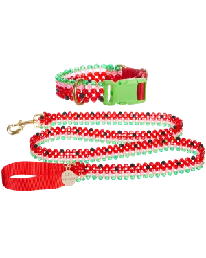 Watermelon Dog Collar and Leash